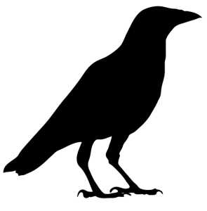 Raven PNG-71397